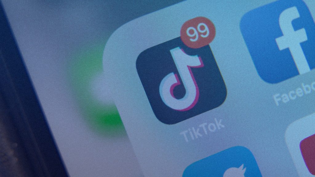 Short-Form Shift: How Users Reacted to the TikTok Outage